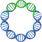 Inovio Pharmaceuticals