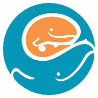 Seattle Children's Healthcare System logo