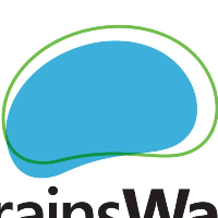 Brainsway logo